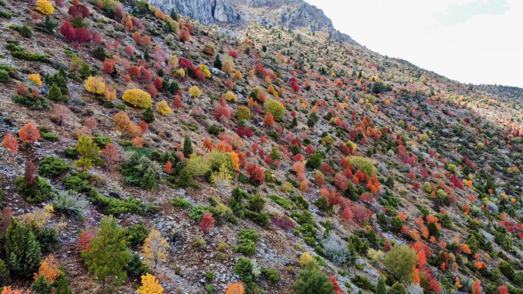 Konya’nın zirvelerinde sonbahar şöleni 3